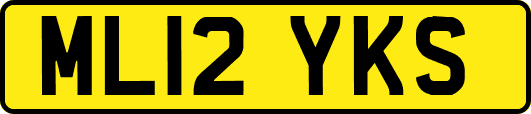 ML12YKS