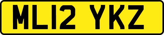ML12YKZ