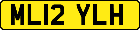 ML12YLH