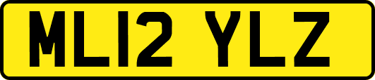 ML12YLZ