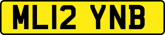 ML12YNB