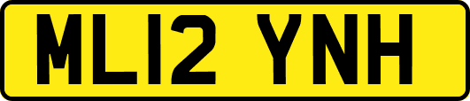 ML12YNH