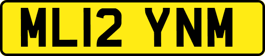 ML12YNM