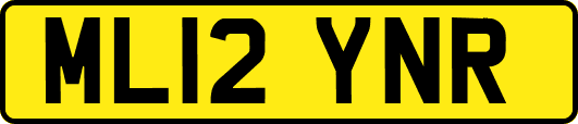 ML12YNR