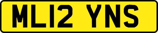 ML12YNS