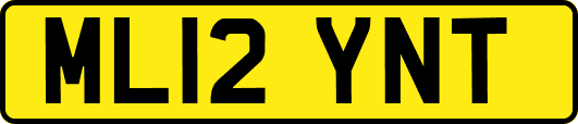 ML12YNT