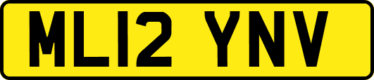 ML12YNV
