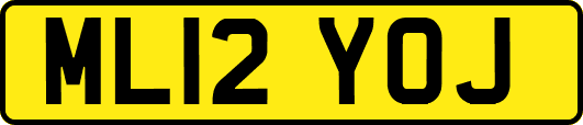 ML12YOJ