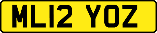 ML12YOZ