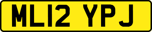 ML12YPJ