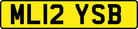 ML12YSB