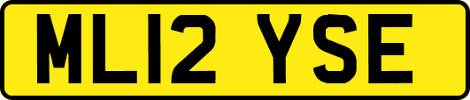 ML12YSE
