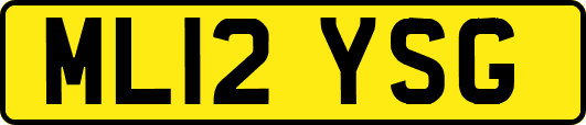 ML12YSG