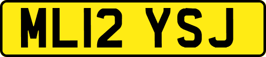ML12YSJ