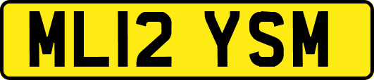 ML12YSM