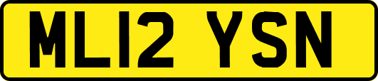 ML12YSN