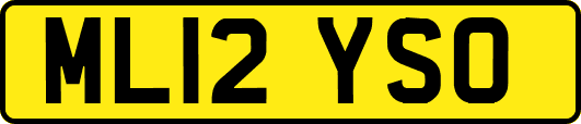 ML12YSO