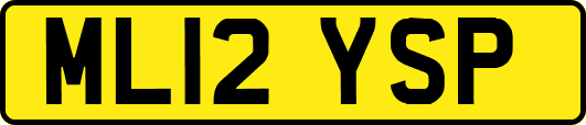 ML12YSP