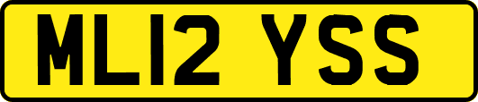 ML12YSS