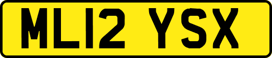 ML12YSX