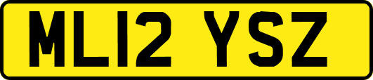 ML12YSZ