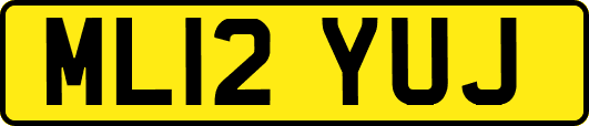 ML12YUJ