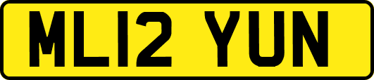 ML12YUN