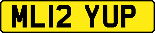 ML12YUP