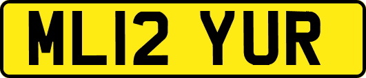 ML12YUR