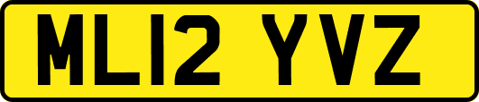 ML12YVZ