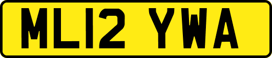 ML12YWA