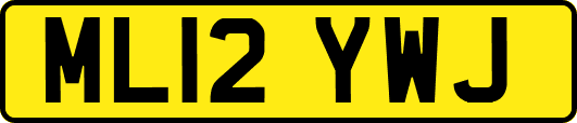 ML12YWJ