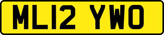 ML12YWO