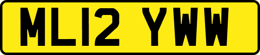 ML12YWW