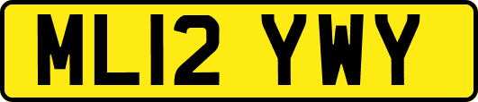 ML12YWY