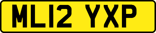 ML12YXP