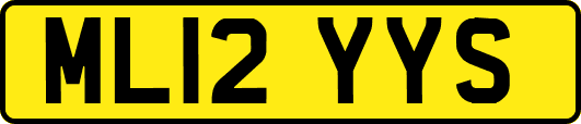 ML12YYS