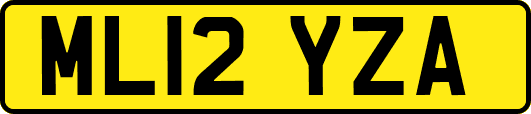 ML12YZA