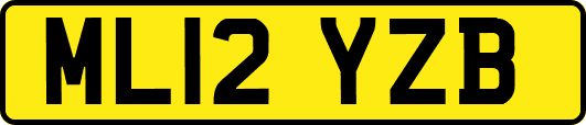 ML12YZB