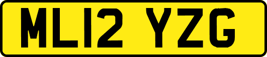 ML12YZG