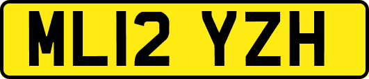 ML12YZH