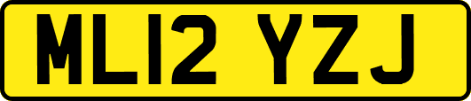 ML12YZJ