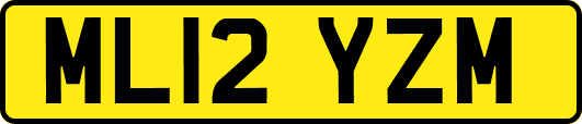 ML12YZM