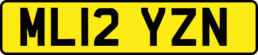 ML12YZN