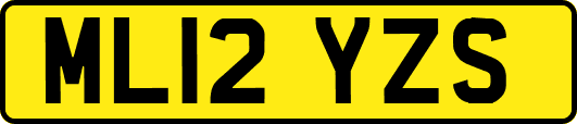 ML12YZS