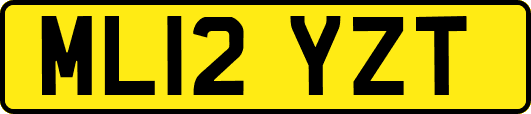 ML12YZT