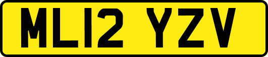 ML12YZV