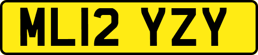 ML12YZY