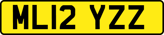 ML12YZZ