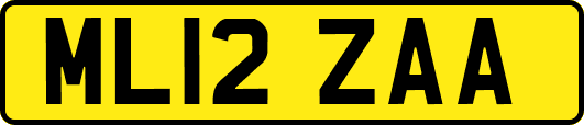 ML12ZAA